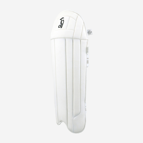 Pro Players Wicket Keeping Pads
