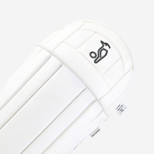 Pro Players Wicket Keeping Pads
