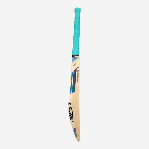 Prism Pro 2.0 EW Junior Cricket Bat