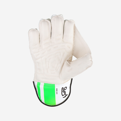Pro 2.0 Wicket Keeping Gloves
