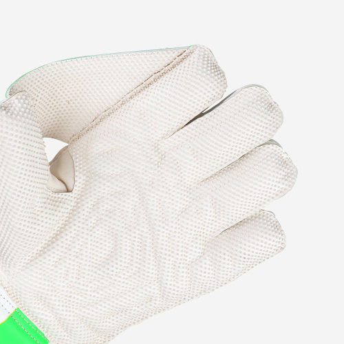 Pro 2.0 Wicket Keeping Gloves
