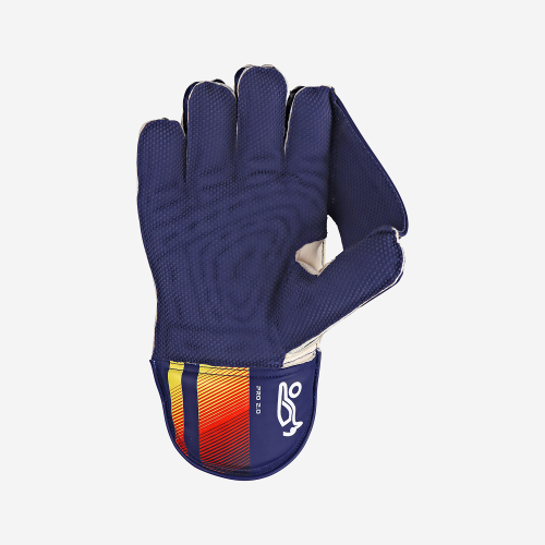 Pro 2.0 Wicket Keeping Gloves