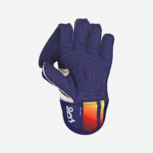 Pro 2.0 Wicket Keeping Gloves