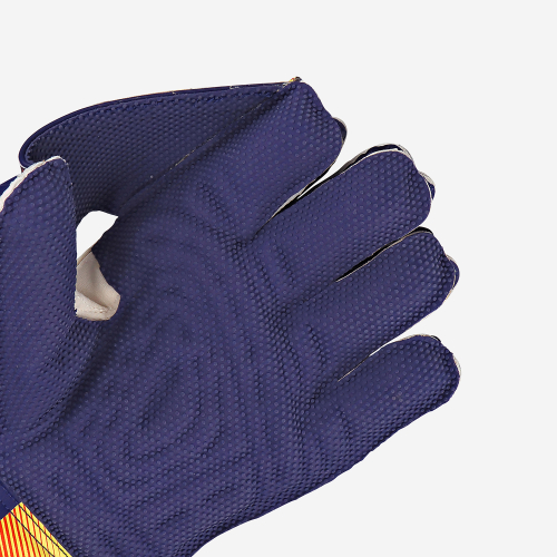 Pro 2.0 Wicket Keeping Gloves