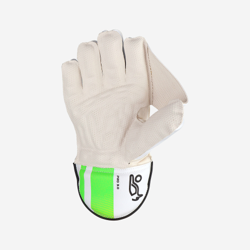 Pro 3.0 Wicket Keeping Gloves