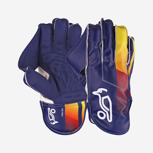 Pro 3.0 Wicket Keeping Gloves