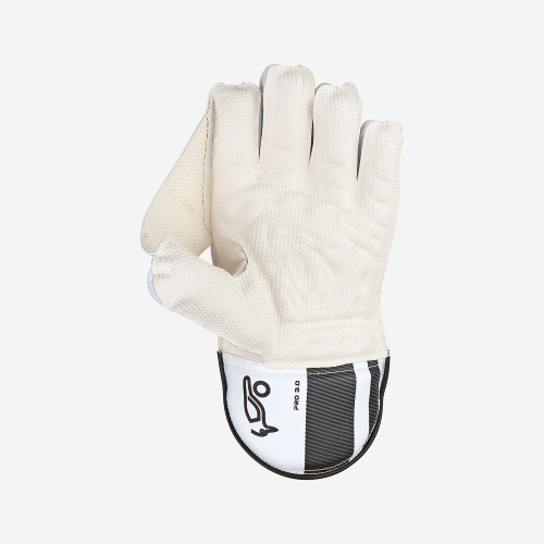 Pro 3.0 Wicket Keeping Gloves
