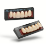 SR Vivodent S DCL
