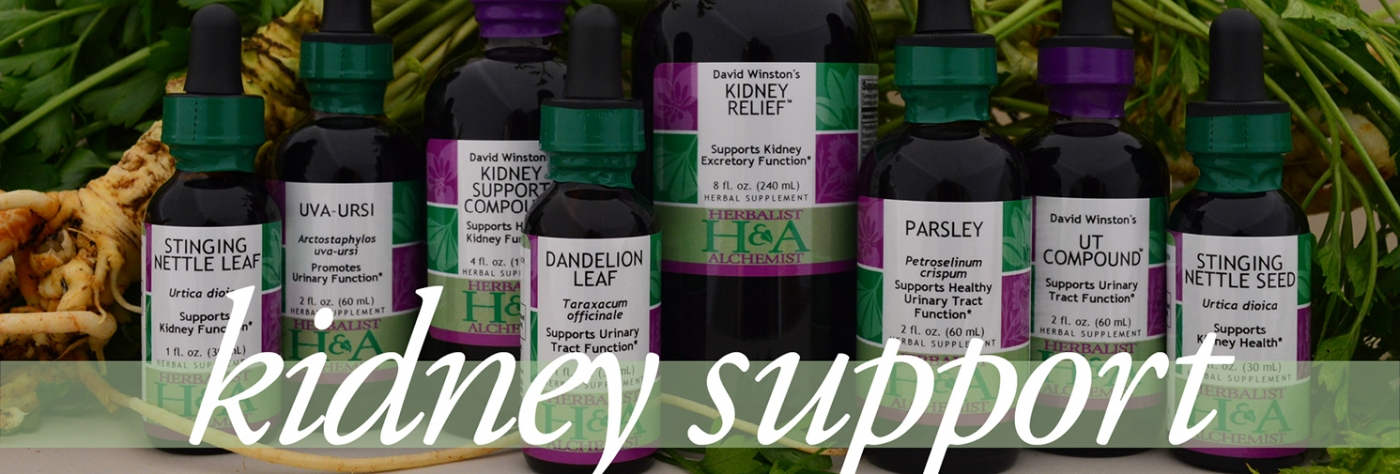 herbalist and alchemist kidney support herbal products with botanicals infused