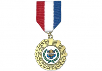 RIBBON PIN DRAPE MEDAL Band