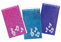 GLITTER SPIRAL NOTEPADS Pkg/24