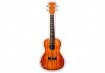 DIE CUT MAGNET Ukulele