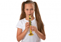 INSTRUMENT KAZOO Clarinet