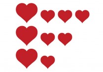 MAGNETIC HEARTBEATS