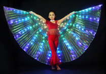 DANCE WINGS LED Light-up