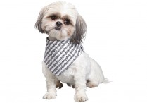 DOGGIE BANDANA Medium