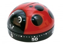 PRACTICE TIMER Ladybug