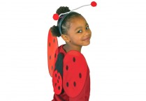 LADYBUG WING/ANTENNAE Set
