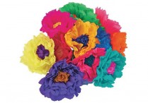 LARGE FIESTA FLOWERS (Bundle of 50)