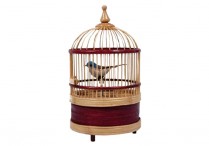 SINGING BIRD IN CAGE