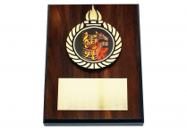WOODEN AWARD PLAQUE