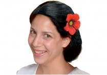 SPANISH WIG