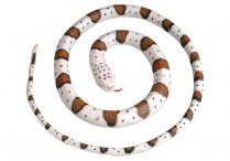 RATTLESNAKE