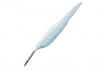 QUILL PEN