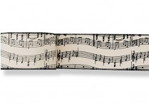 WIRED MUSIC RIBBON