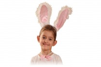 BUNNY EARS, BOWTIE & TAIL