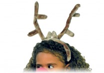 REINDEER ANTLERS