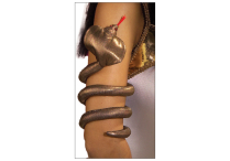 ASP ARM BAND
