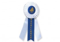 EXCELLENCE AWARD RIBBON Piano
