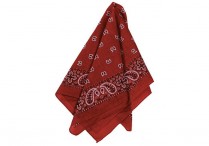 RED BANDANNAS Pkg/12