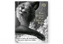 THE OTHER DAY I MET A BEAR  Hardback