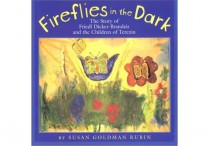 FIREFLIES IN THE DARK  Hardback