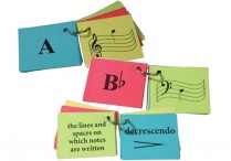 FLASHCARDS ON THE GO SET