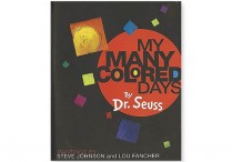 MY MANY COLORED DAYS Hardback