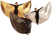 DANCE WINGS