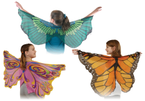 DANCE WINGS