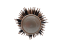 Ceramic Brush with Gold Handle 45mm