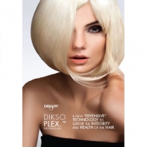 Dikson Poster - Diksoplex A4