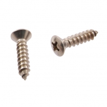 Headlight Rim Screw - 1951 Ford Car  