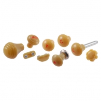 Dash Knob Set - Butterscotch - 1942 Ford Car  