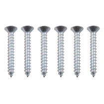 Garnish Molding Screws - Set of 6 - 1953-56 Ford Truck