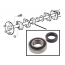 Axle Bearing - Rear - 1948-83 Ford Truck, 1966-77 Ford Bronco, 1949-79 Ford Car