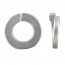 Hood Emblem - 1953-56 Ford Truck