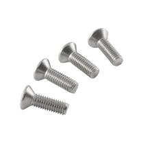 Parking Light Lens Screws - 1953 Ford Car