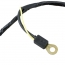 Alternator to Voltage Regulator Harness - 1965-66 Ford Truck
