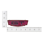Grille Emblem Insert - "GT" -  1967 Ford Fairlane